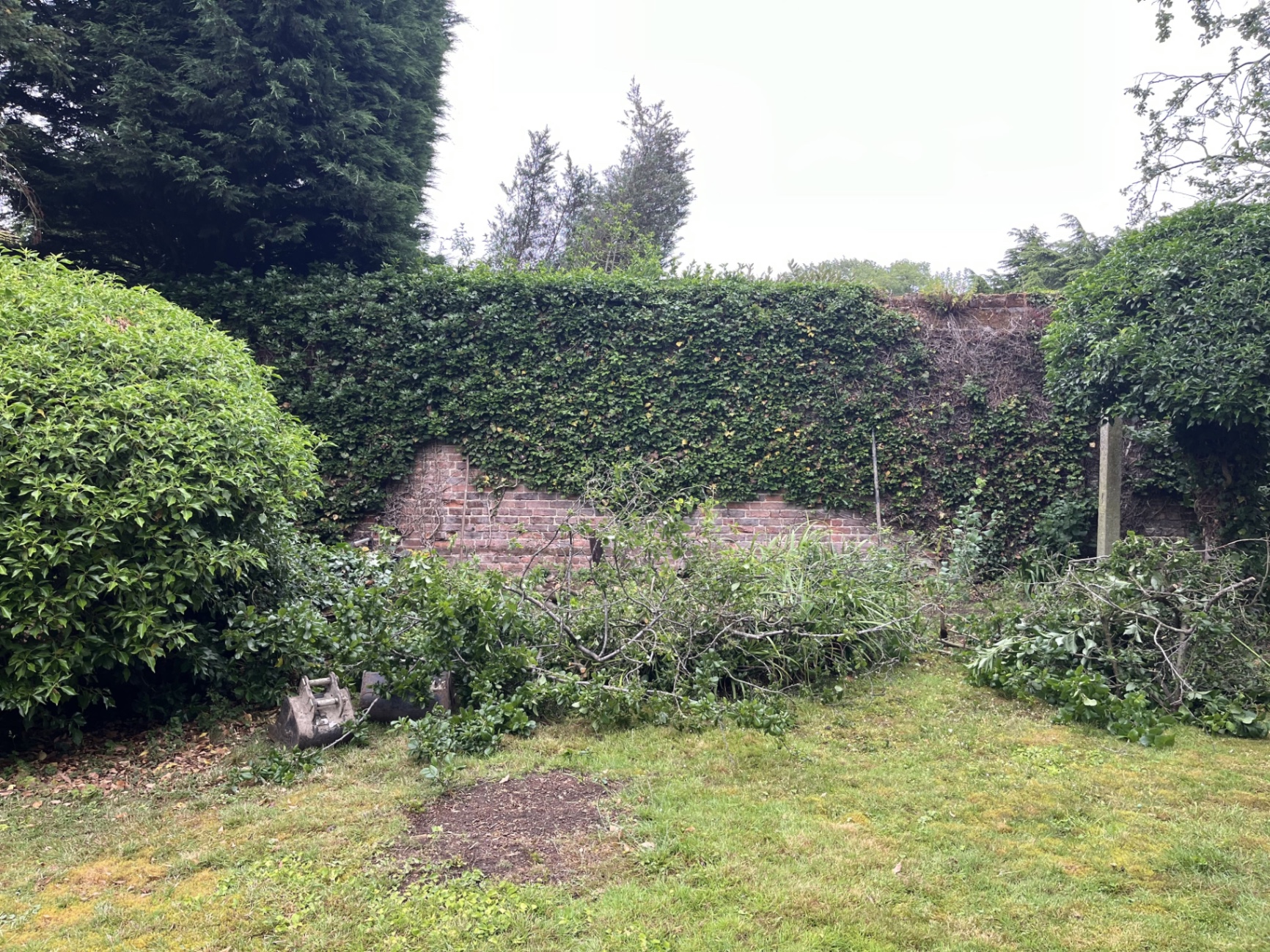 Initial Godmanchester garden before the porcelain patio installation, with overgrown planting and the original lawn area ready for clearance