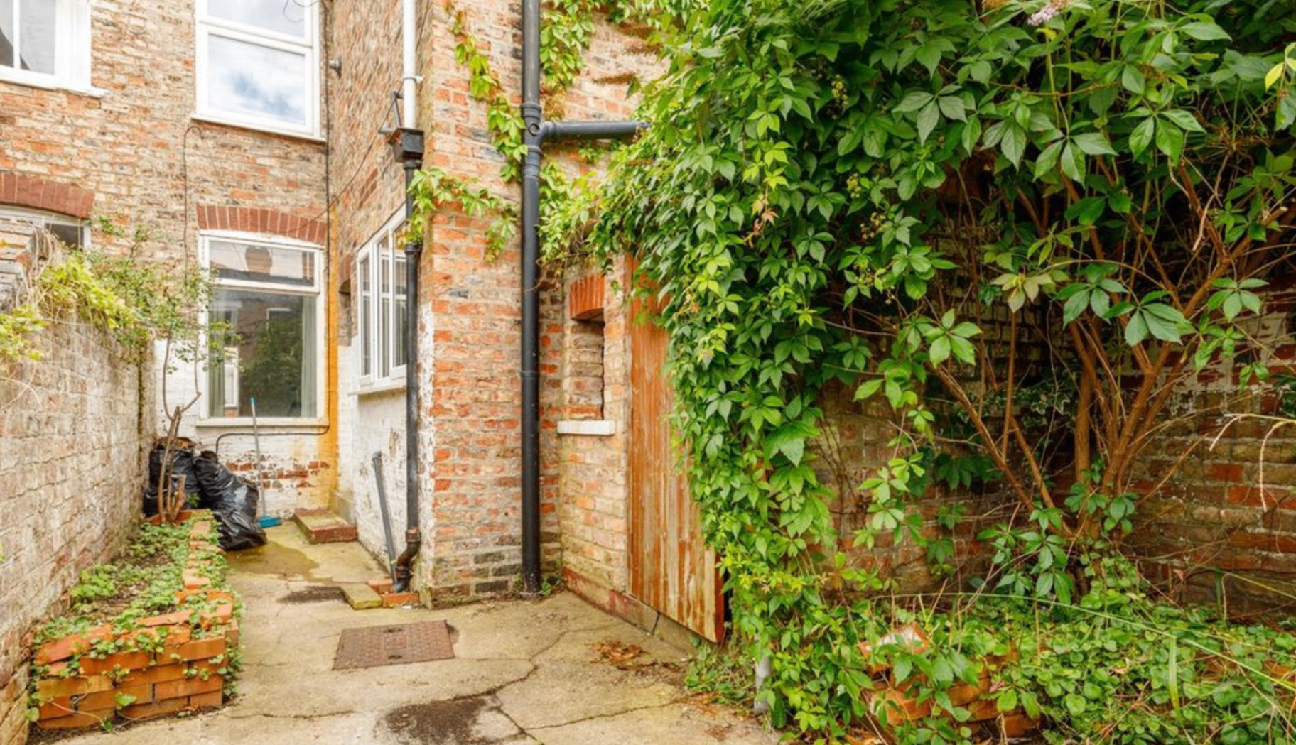 Original overgrown side return and brickwork before extension in Cambridgeshire