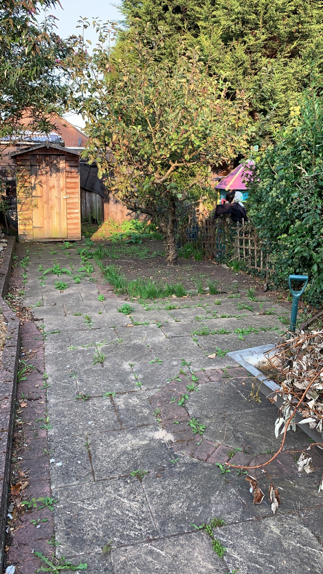 Original patchy paving and weeds in Fletton garden before works