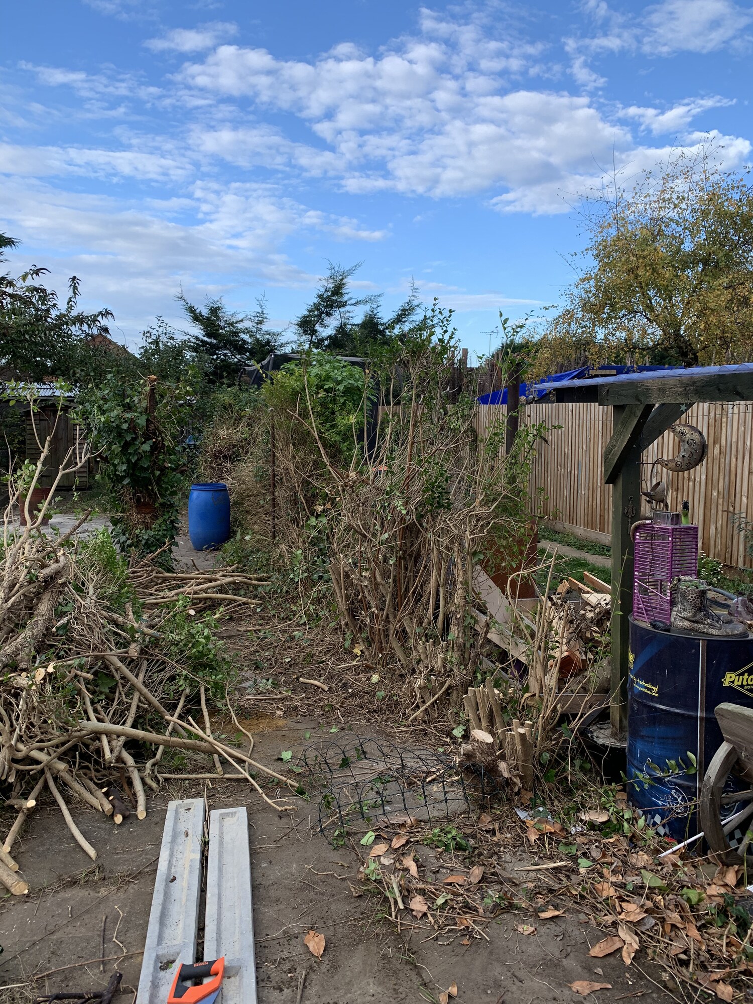 Overgrown rear garden before transformation in Fletton, Peterborough