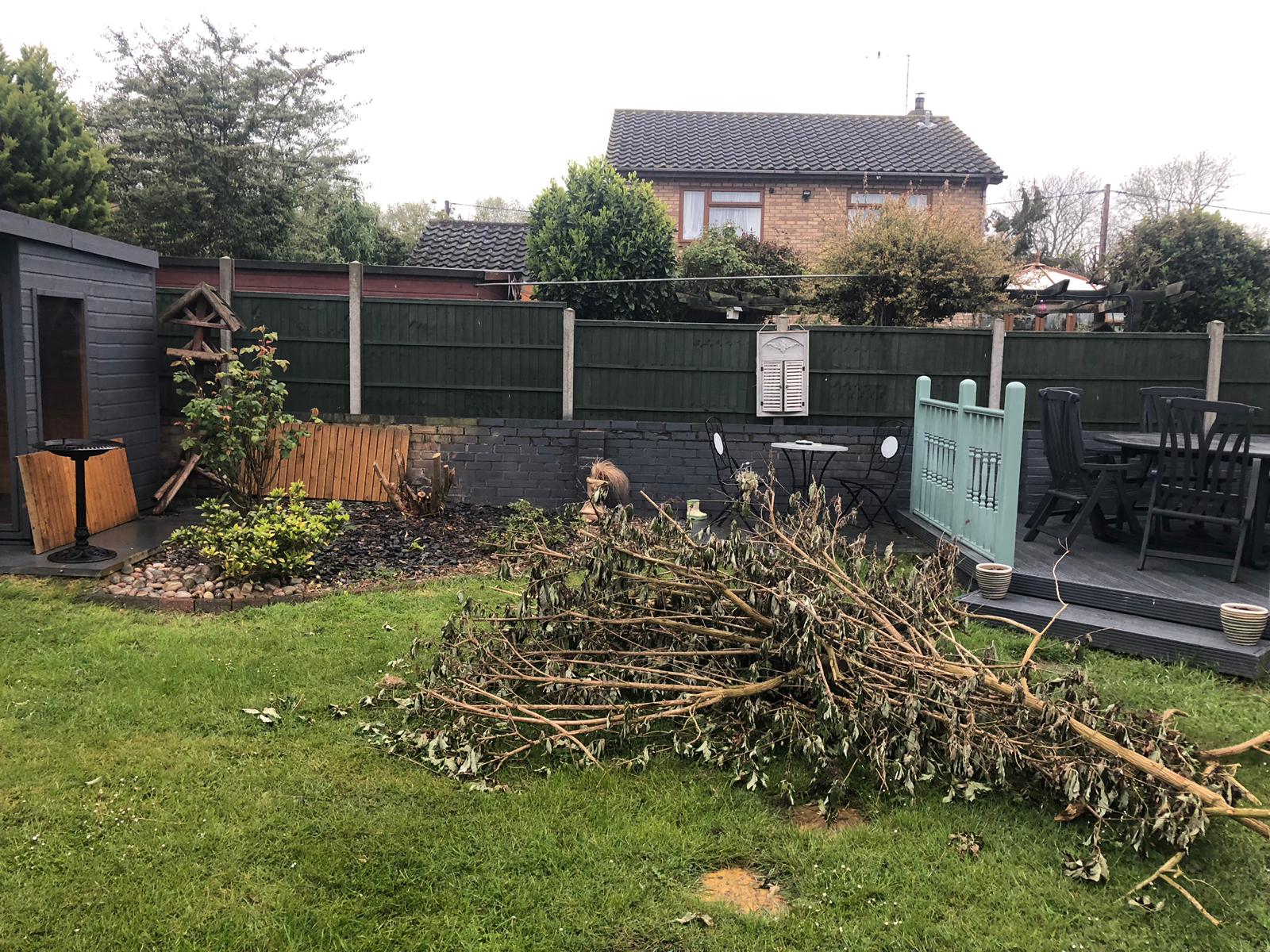Tired garden in Folksworth, Cambridgeshire before complete makeover by Arcadia Build & Landscape