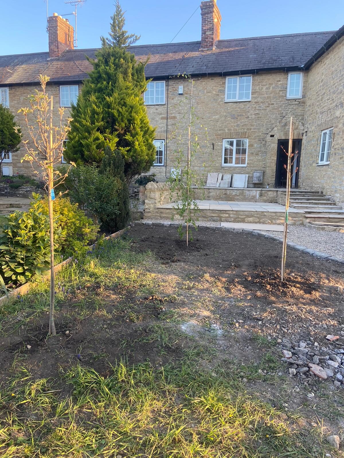 Newly planted trees, shrubs and prepared soil at rear of cottage in Turvey, Bedfordshire