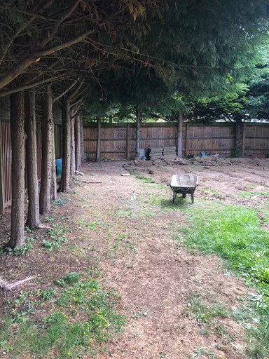 Tired patchy lawn with bare ground and wheelbarrow before artificial grass installation in Turvey, Bedfordshire